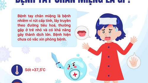 CÁCH PHÒNG BỆNH TAY CHÂN MIỆNG - BỘ Y TẾ