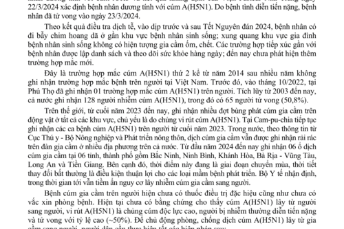 Thông tin về trường hợp mắc Cúm A(H5N1) tại Khánh Hòa